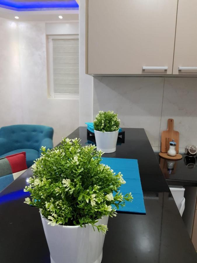 Apartmani Venera Belgrád Kültér fotó